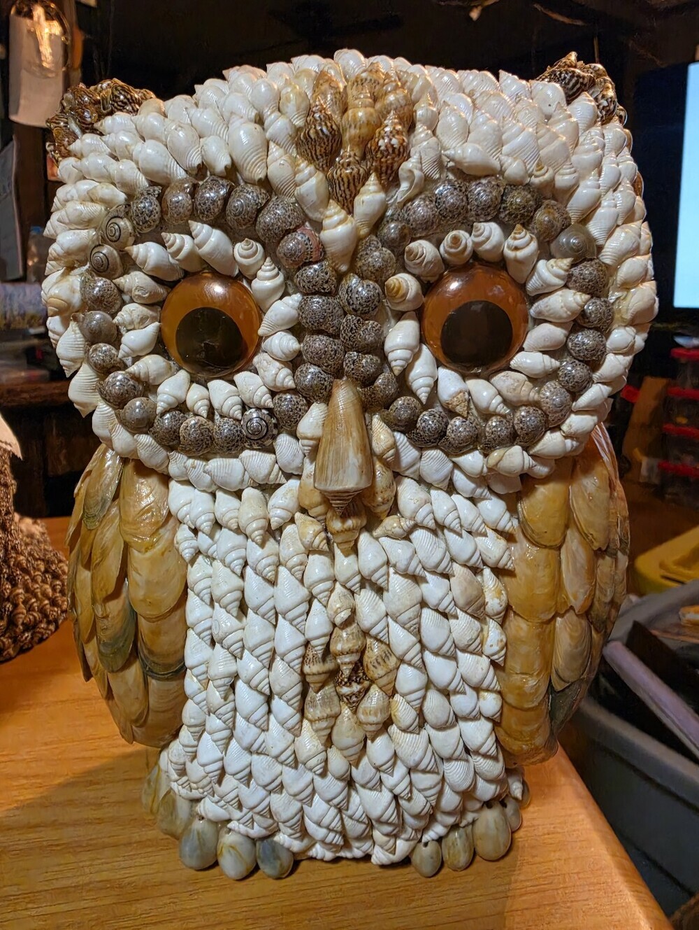 10" Tall Vintage Sea Shell Owl - Picture 2 of 4